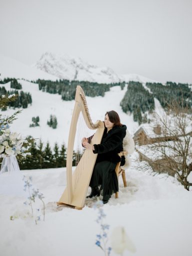 Harpe dans la neige